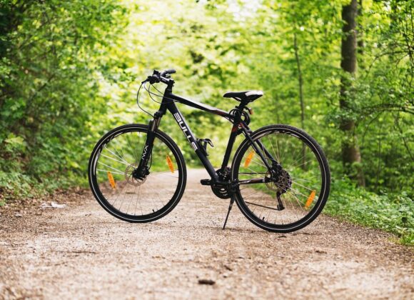 bicycle, bike, forest, path, sports, outdoors, dirt road, nature, mountain bike, wheels, bicycle wheels, parked, park, woods