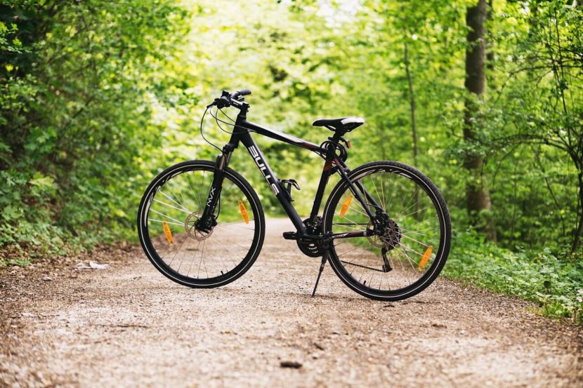 Jak wybrać autoryzowanego sprzedawcę rowerów Giant – na co zwracać uwagę przy gwarancji i serwisie bicycle, bike, forest, path, sports, outdoors, dirt road, nature, mountain bike, wheels, bicycle wheels, parked, park, woods